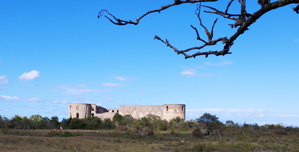 Foto över Borgholms slott med en trädgren i förgrunden